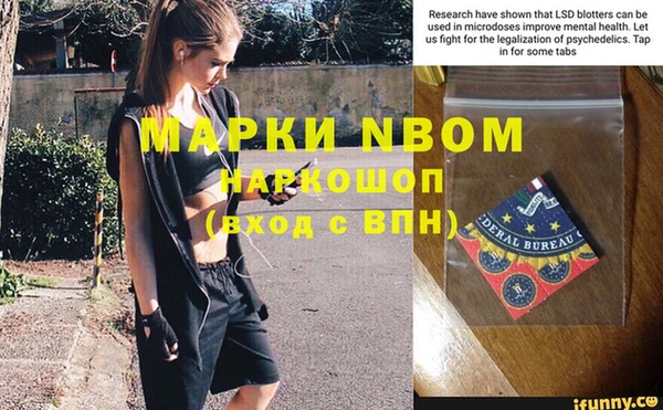 тгк Алзамай