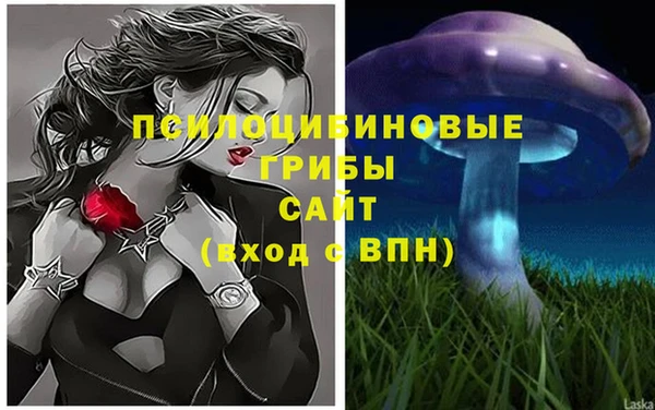 шишки Алексеевка
