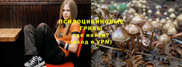 шишки Алексеевка