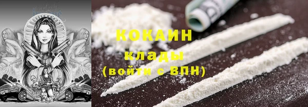 дживик Новодвинск